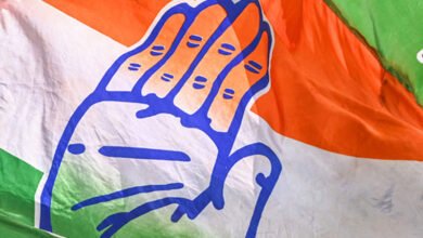 Congress party flag hand Console Corptech