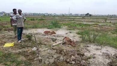 Videoshot 20250716 162712 Console Corptech