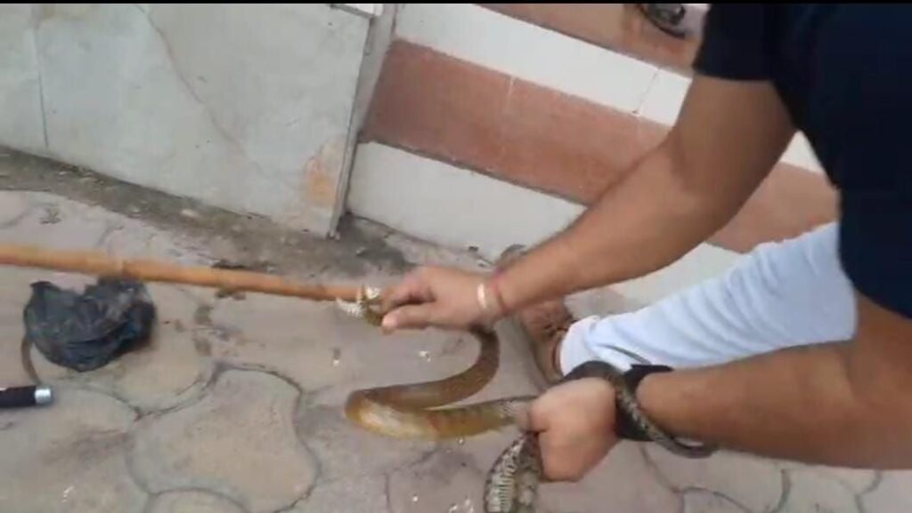 img 20250714 wa00052700591180987864807 Console Corptech