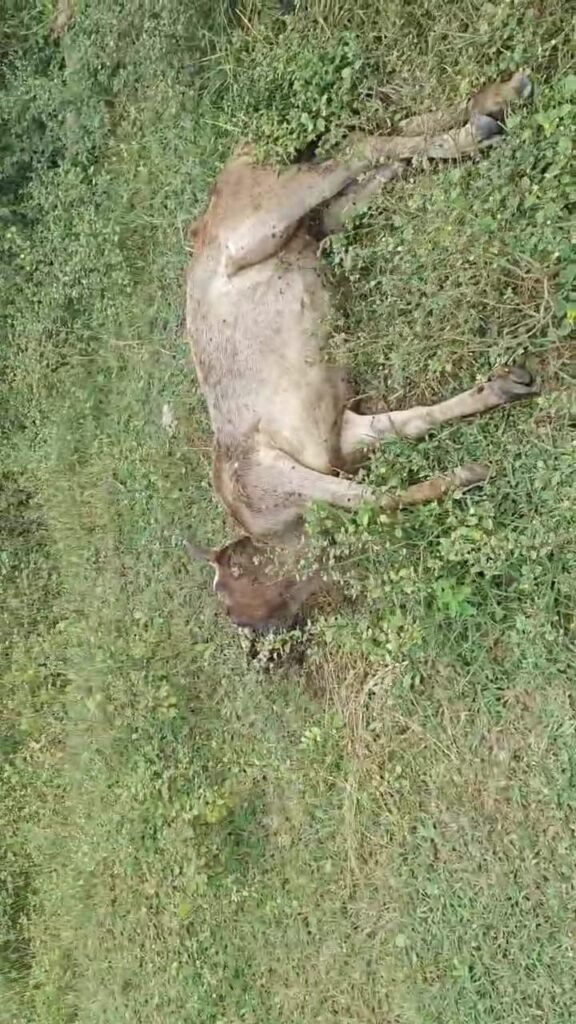 10022224856609414068650940347 Console Corptech