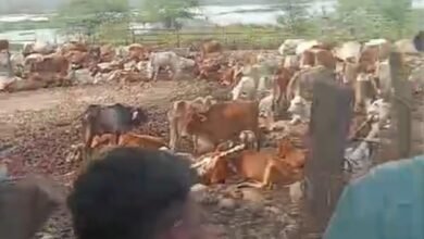 IMG 20251024 WA0511 Console Corptech