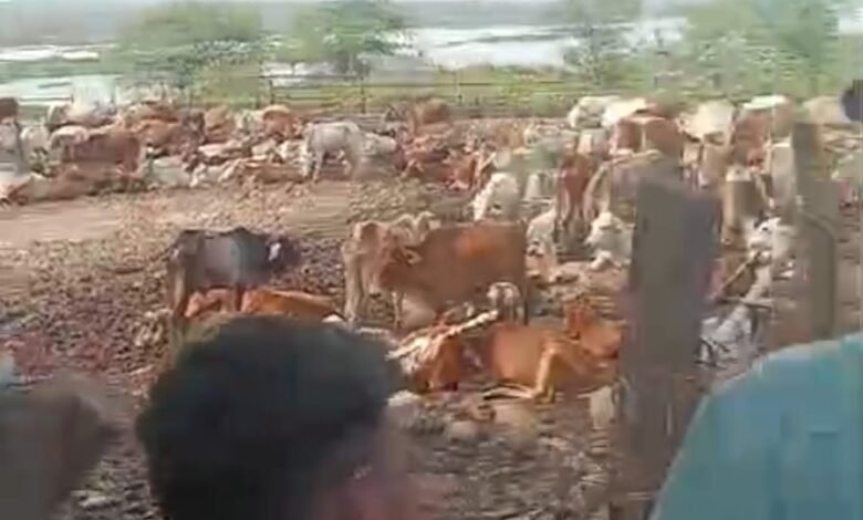 IMG 20251024 WA0511 Console Corptech