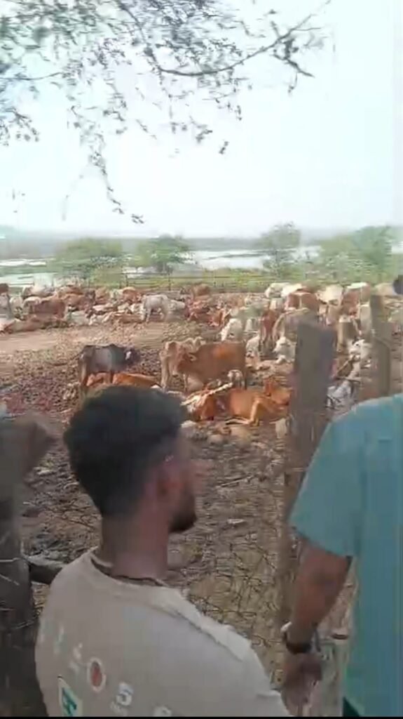 img 20251024 wa05112908695698448126993 Console Corptech