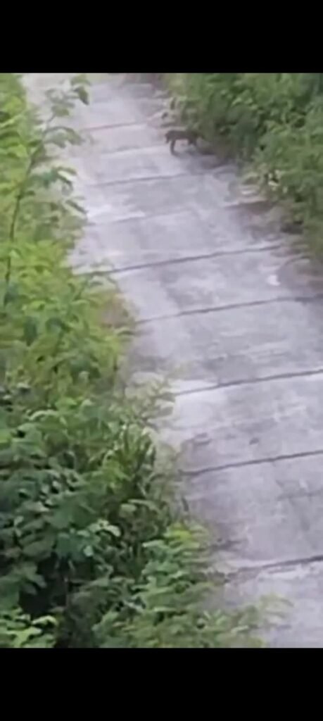 img 20251027 wa06961294649563989477268 Console Corptech