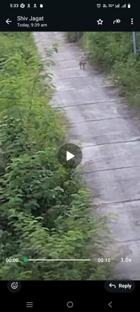 img 20251027 wa06978132616434966020230 Console Corptech