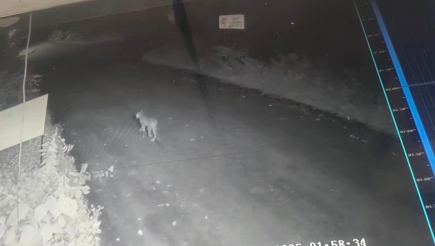 videoshot 20251029 0003563601530985926282320 Console Corptech