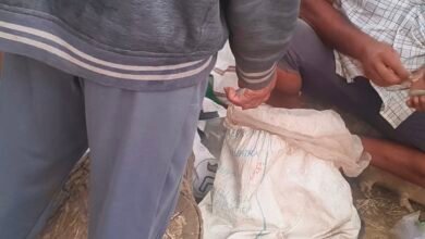 Videoshot 20251126 105238 Console Corptech