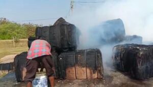 videoshot 20251116 1602527320858029421768562 Console Corptech