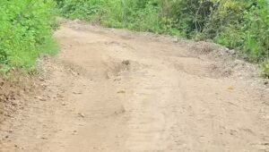 videoshot 20251118 1953391901389187339930650 Console Corptech