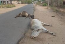 IMG 20260223 WA0535 Console Corptech