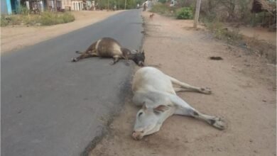 IMG 20260223 WA0535 Console Corptech