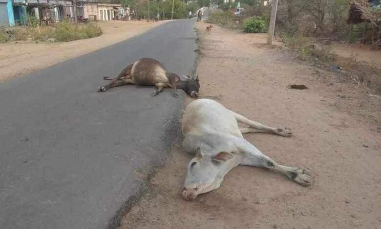 IMG 20260223 WA0535 Console Corptech