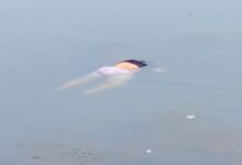 IMG 20260227 WA0226 Console Corptech