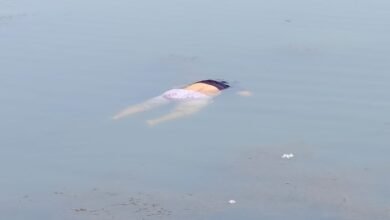 IMG 20260227 WA0226 Console Corptech