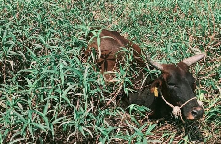 IMG 20260227 WA0262 Console Corptech