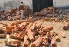 IMG 20260217 121051 Console Corptech