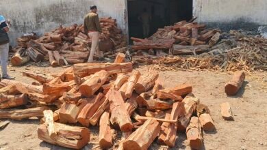 IMG 20260217 121051 Console Corptech