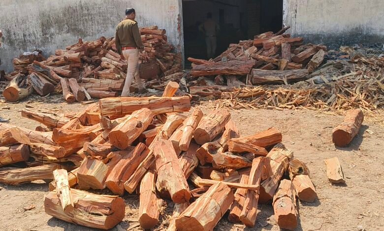 IMG 20260217 121051 Console Corptech