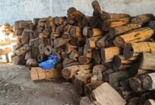 IMG 20260217 121355 Console Corptech