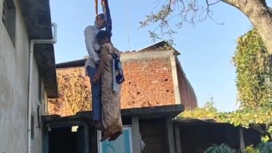 Videoshot 20260216 140001 Console Corptech