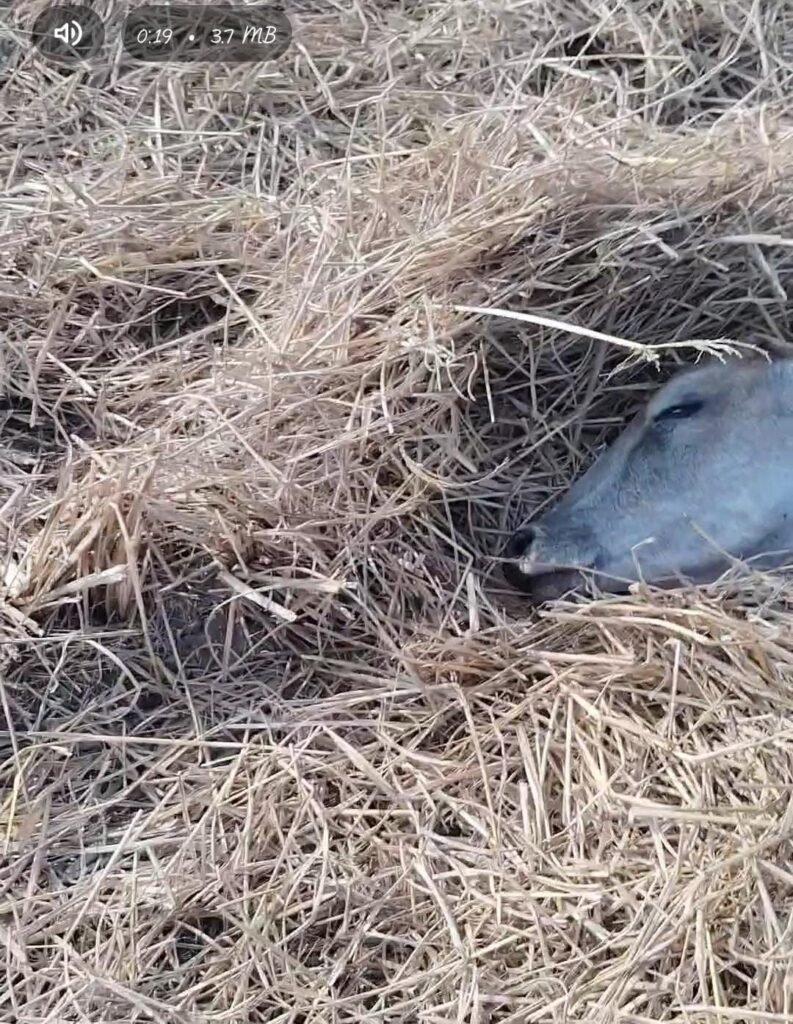 img 20260223 wa05344907913135254962983 Console Corptech