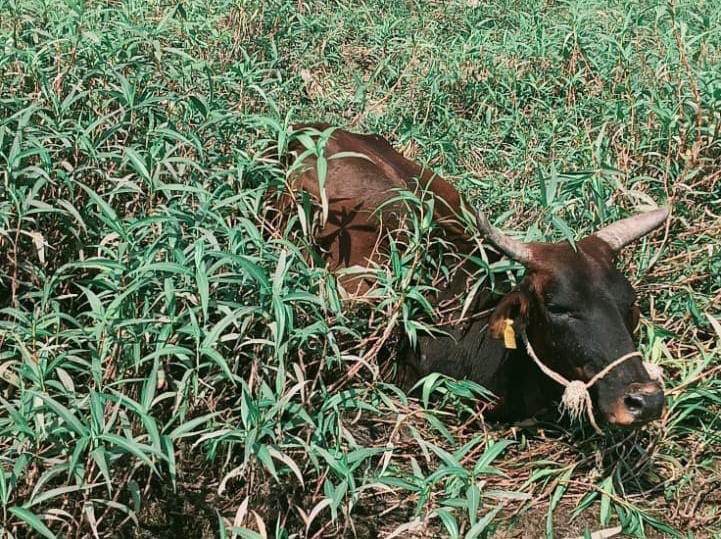 img 20260227 wa0262980410951694429127 Console Corptech