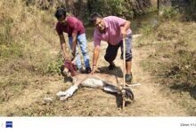 IMG 20260323 WA0361 Console Corptech