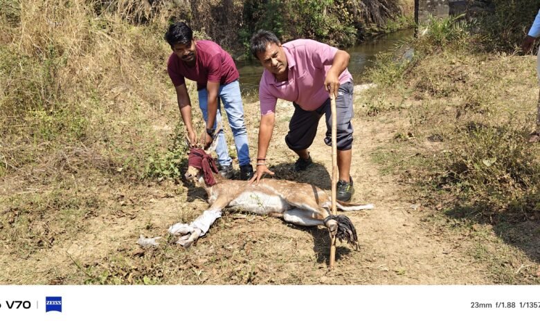 IMG 20260323 WA0361 Console Corptech