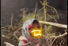 IMG 20260320 215817 Console Corptech