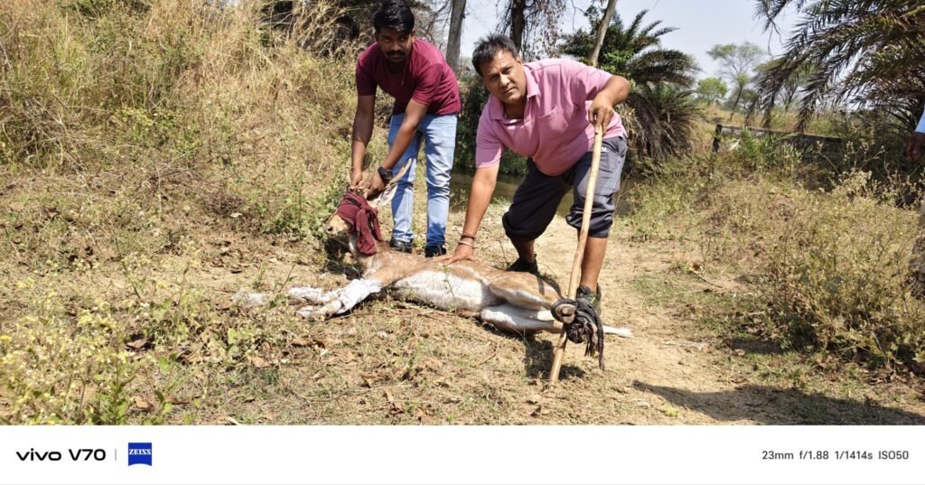 img 20260323 wa03637220686994153914525 Console Corptech