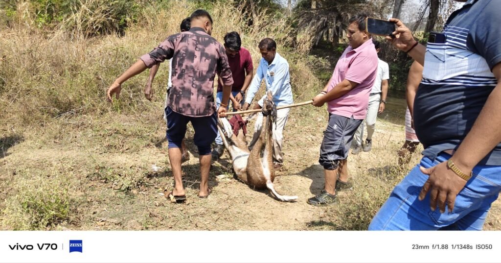 img 20260323 wa03682258583024210568353 Console Corptech