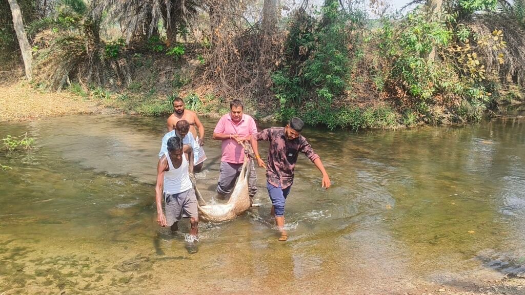 img 20260323 1049473222156626543828403 Console Corptech