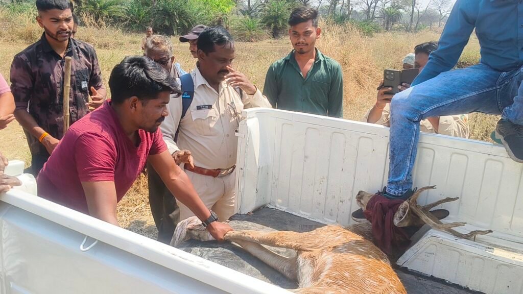 img 20260323 1052003735334827542450669 Console Corptech