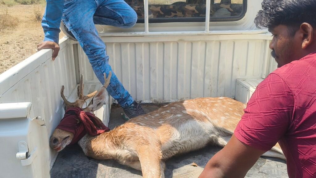 img 20260323 1052183580053916590319314 Console Corptech