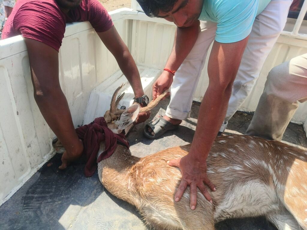 img 20260323 1054302799282637208097796 Console Corptech