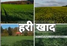 IMG 20260409 214846 Console Corptech