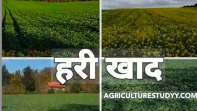 IMG 20260409 214846 Console Corptech