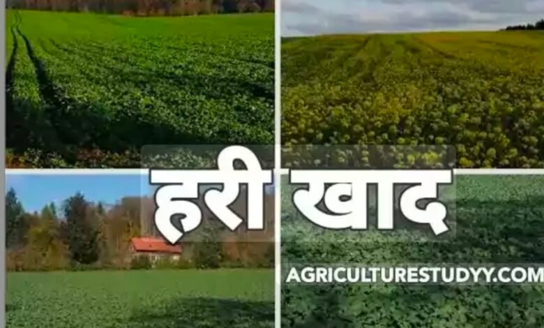 IMG 20260409 214846 Console Corptech